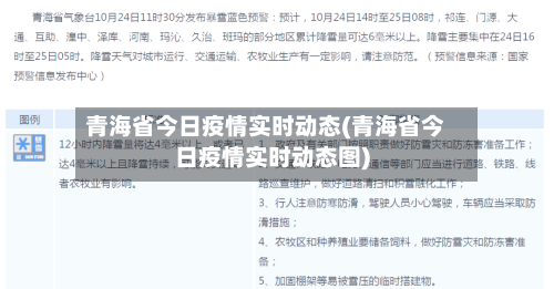 青海省今日疫情实时动态(青海省今日疫情实时动态图)-第2张图片