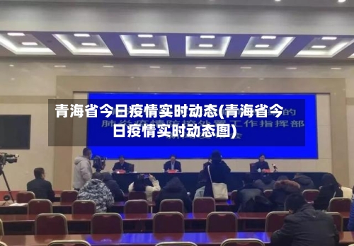 青海省今日疫情实时动态(青海省今日疫情实时动态图)-第1张图片