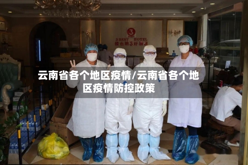 云南省各个地区疫情/云南省各个地区疫情防控政策-第2张图片