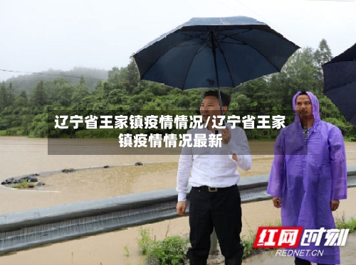 辽宁省王家镇疫情情况/辽宁省王家镇疫情情况最新-第1张图片