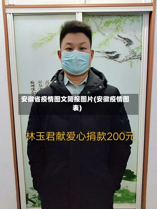 安徽省疫情图文简报图片(安徽疫情图表)-第2张图片