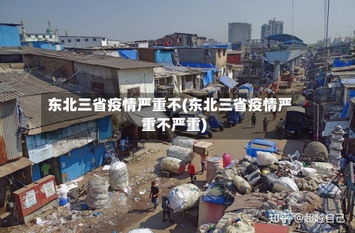 东北三省疫情严重不(东北三省疫情严重不严重)-第1张图片