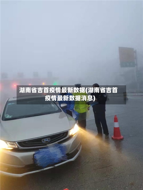 湖南省吉首疫情最新数据(湖南省吉首疫情最新数据消息)-第2张图片