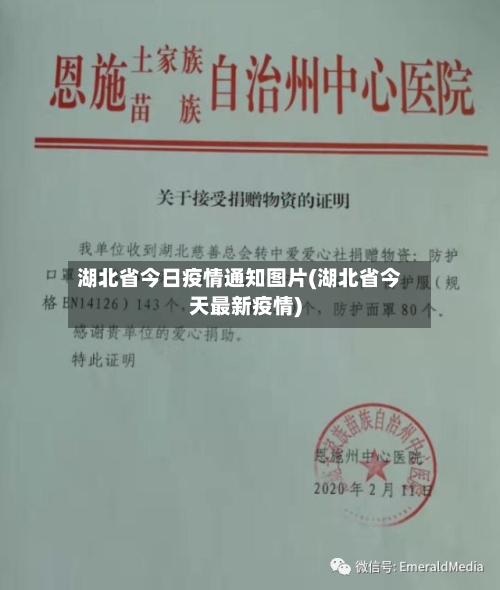 湖北省今日疫情通知图片(湖北省今天最新疫情)-第3张图片