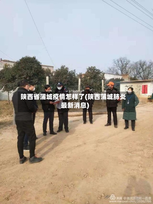 陕西省蒲城疫情怎样了(陕西蒲城肺炎最新消息)-第2张图片