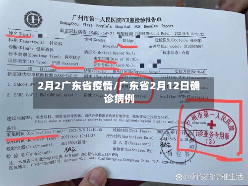 2月2广东省疫情/广东省2月12日确诊病例-第2张图片