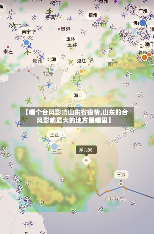 【哪个台风影响山东省疫情,山东的台风影响最大的地方是哪里】-第1张图片