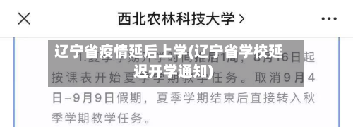 辽宁省疫情延后上学(辽宁省学校延迟开学通知)-第1张图片