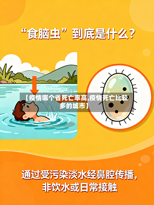 【疫情哪个省死亡率高,疫情死亡比较多的城市】-第1张图片