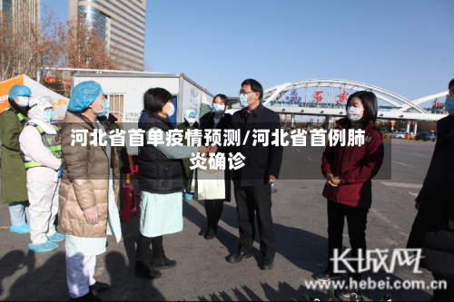 河北省首单疫情预测/河北省首例肺炎确诊-第3张图片