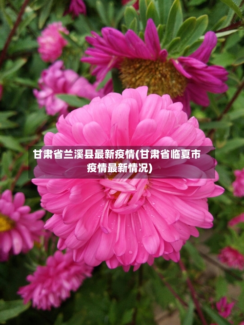甘肃省兰溪县最新疫情(甘肃省临夏市疫情最新情况)-第1张图片