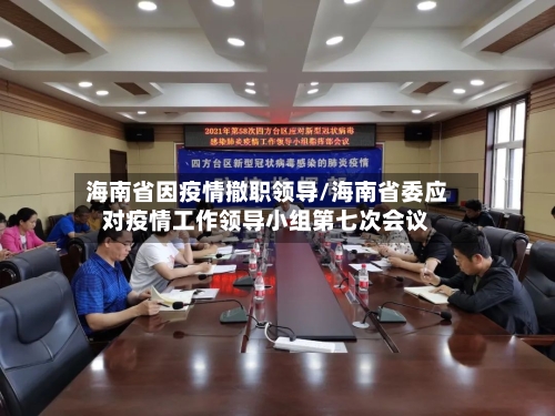 海南省因疫情撤职领导/海南省委应对疫情工作领导小组第七次会议-第1张图片
