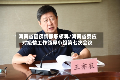 海南省因疫情撤职领导/海南省委应对疫情工作领导小组第七次会议-第2张图片
