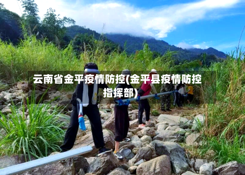 云南省金平疫情防控(金平县疫情防控指挥部)-第1张图片