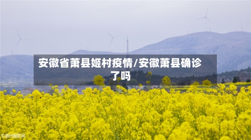 安徽省萧县姬村疫情/安徽萧县确诊了吗-第2张图片
