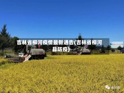 吉林省柳河疫情最新通告(吉林省柳河县防疫)-第1张图片