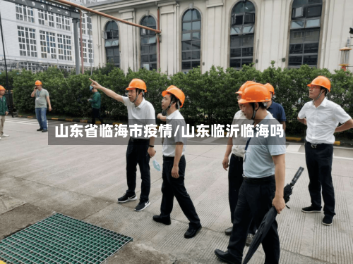 山东省临海市疫情/山东临沂临海吗-第1张图片