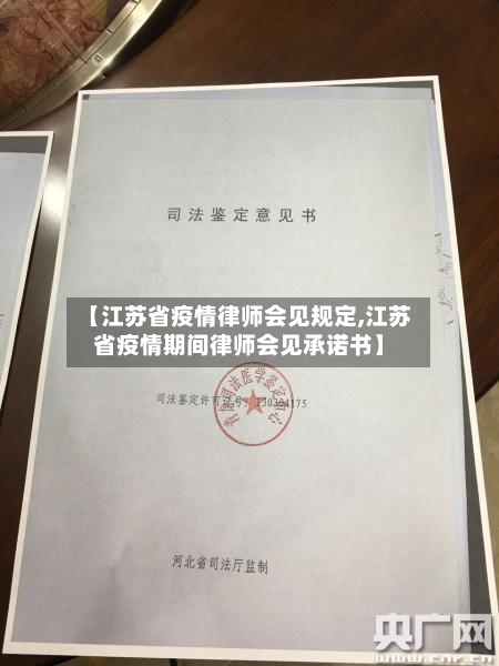 【江苏省疫情律师会见规定,江苏省疫情期间律师会见承诺书】-第2张图片