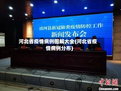 河北省疫情病例图解大全(河北省疫情病例分布)-第1张图片