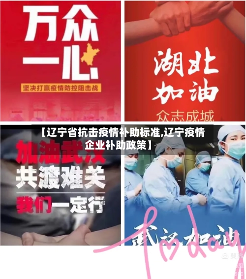 【辽宁省抗击疫情补助标准,辽宁疫情企业补助政策】-第1张图片