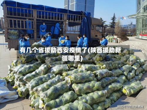有几个省援助西安疫情了(陕西援助新疆哪里)-第2张图片