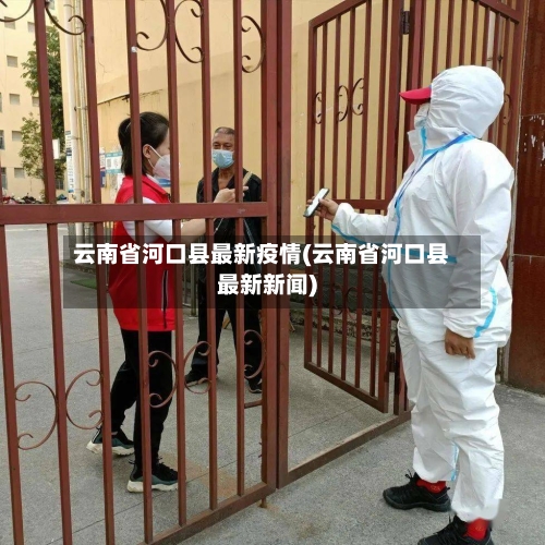 云南省河口县最新疫情(云南省河口县最新新闻)-第2张图片