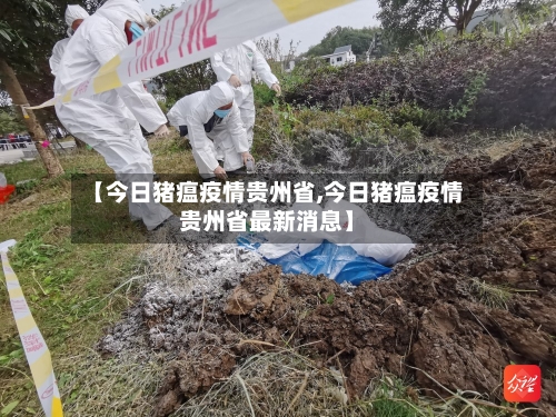 【今日猪瘟疫情贵州省,今日猪瘟疫情贵州省最新消息】-第1张图片