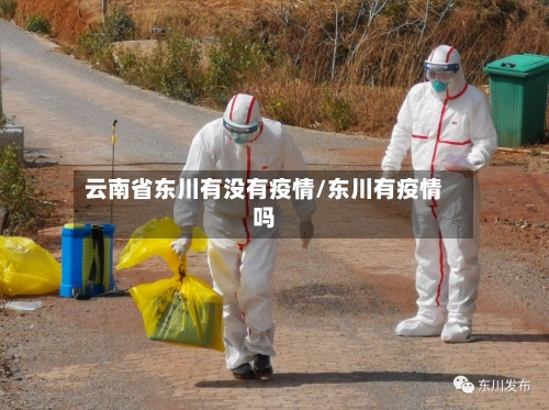 云南省东川有没有疫情/东川有疫情吗-第1张图片