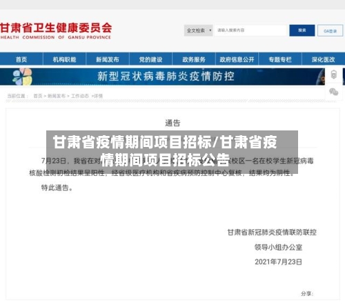 甘肃省疫情期间项目招标/甘肃省疫情期间项目招标公告-第3张图片