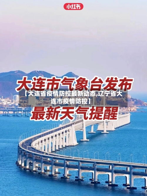 【大连省疫情防控最新动态,辽宁省大连市疫情防控】-第3张图片