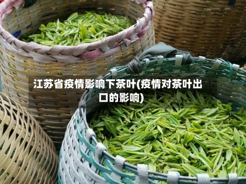 江苏省疫情影响下茶叶(疫情对茶叶出口的影响)-第3张图片