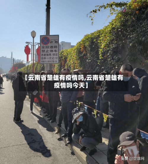 【云南省楚雄有疫情吗,云南省楚雄有疫情吗今天】-第1张图片