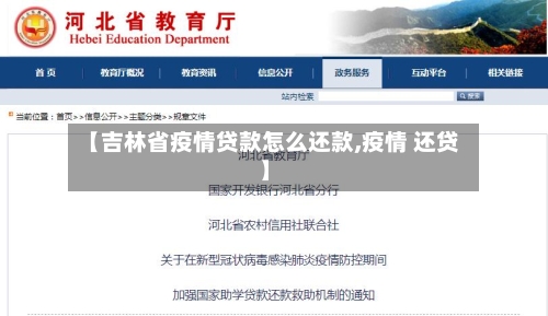 【吉林省疫情贷款怎么还款,疫情 还贷】-第2张图片