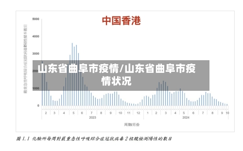 山东省曲阜市疫情/山东省曲阜市疫情状况-第1张图片