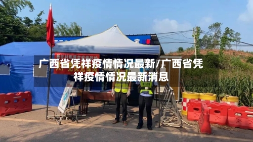广西省凭祥疫情情况最新/广西省凭祥疫情情况最新消息-第2张图片
