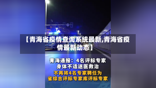 【青海省疫情查询系统最新,青海省疫情最新动态】-第3张图片