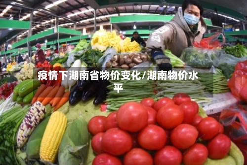 疫情下湖南省物价变化/湖南物价水平-第1张图片