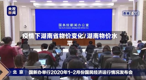 疫情下湖南省物价变化/湖南物价水平-第2张图片