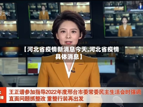 【河北省疫情新消息今天,河北省疫情具体消息】-第3张图片