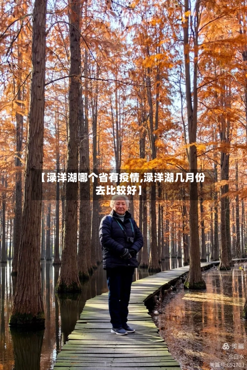 【渌洋湖哪个省有疫情,渌洋湖几月份去比较好】-第2张图片