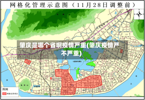 肇庆是哪个省啊疫情严重(肇庆疫情严不严重)-第3张图片