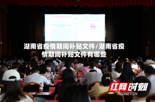 湖南省疫情期间补贴文件/湖南省疫情期间补贴文件有哪些-第2张图片