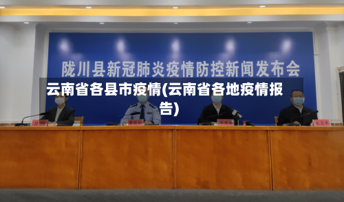 云南省各县市疫情(云南省各地疫情报告)-第2张图片