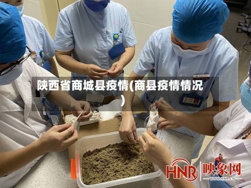 陕西省商城县疫情(商县疫情情况)-第1张图片