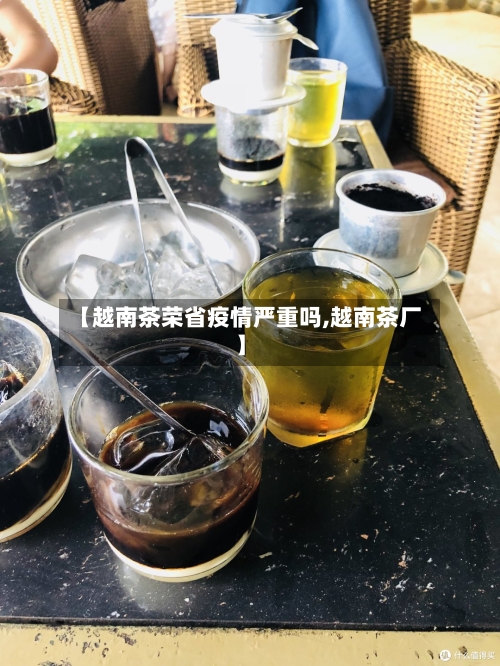【越南茶荣省疫情严重吗,越南茶厂】-第1张图片