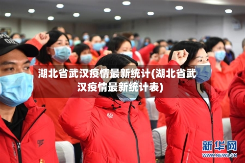 湖北省武汉疫情最新统计(湖北省武汉疫情最新统计表)-第3张图片