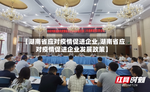 【湖南省应对疫情促进企业,湖南省应对疫情促进企业发展政策】-第1张图片