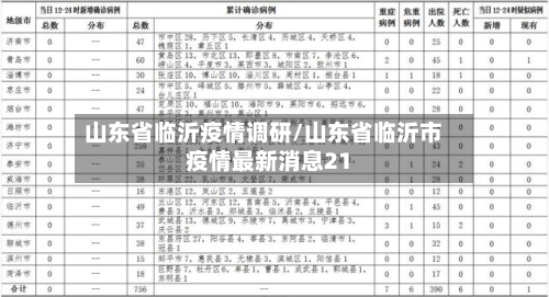 山东省临沂疫情调研/山东省临沂市疫情最新消息21-第3张图片