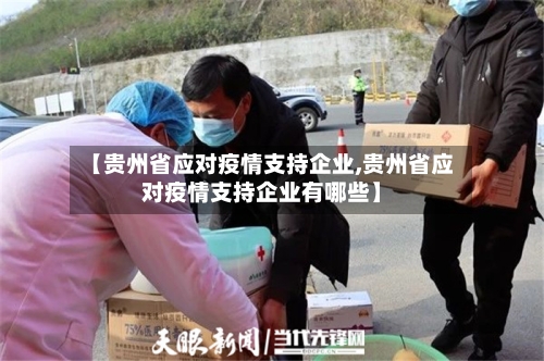 【贵州省应对疫情支持企业,贵州省应对疫情支持企业有哪些】-第3张图片