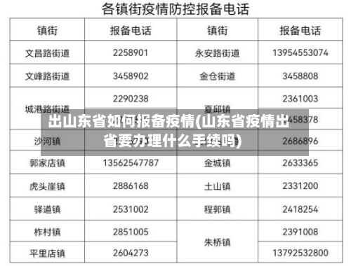出山东省如何报备疫情(山东省疫情出省要办理什么手续吗)-第3张图片